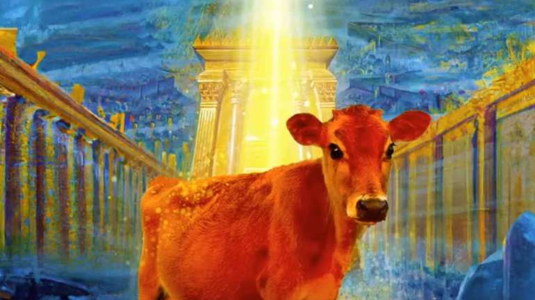 Червона корова «демократії»