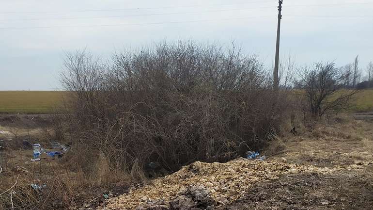 Одним місячник чистоти на Полтавщині, іншим — засмічені лісопосадки