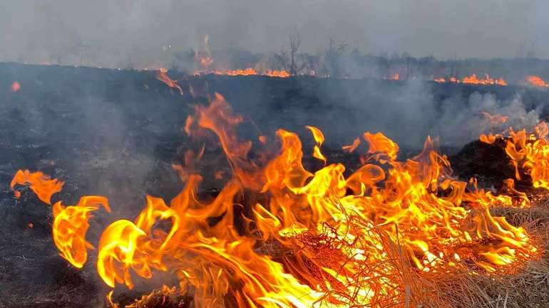 Вогнеборці ледь врятували Оржицьку громаду від біди