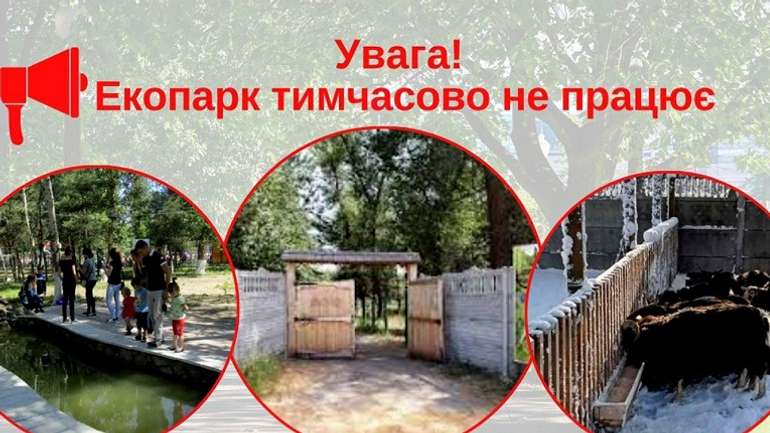 Кобеляцький «Екопарк» на Полтавщині закрили через спалах АЧС