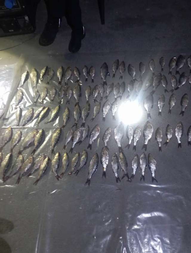 Поблизу Миргорода і Решетилівки затримали браконьєрів_1