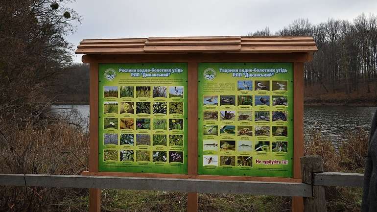 Влада Диканьки покриває мародерів і крадіїв водних ресурсів
