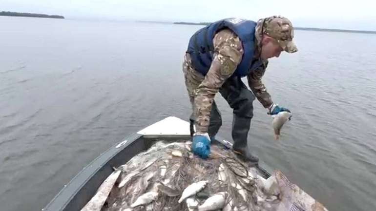 В акваторії Сули на Полтавщині врятовано рибу