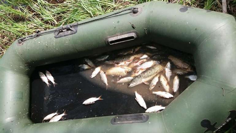 У Миргородському районі затримали порушника нерестової заборони