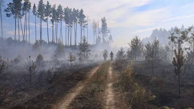 За час весняних пожеж на Полтавщині вигоріло 10 га лісів
