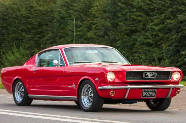 Корупція в США. Джанет Мелло вкрала з бюджету армії США $108 мільйонів_1