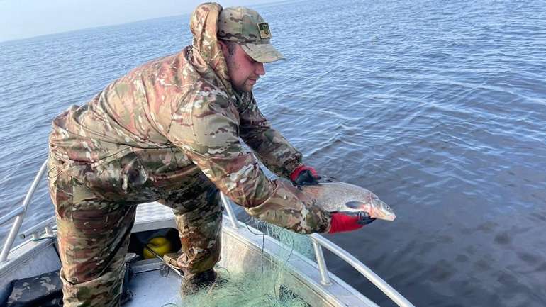 У Кременчуцькому водосховищі врятовано 70 кг риби