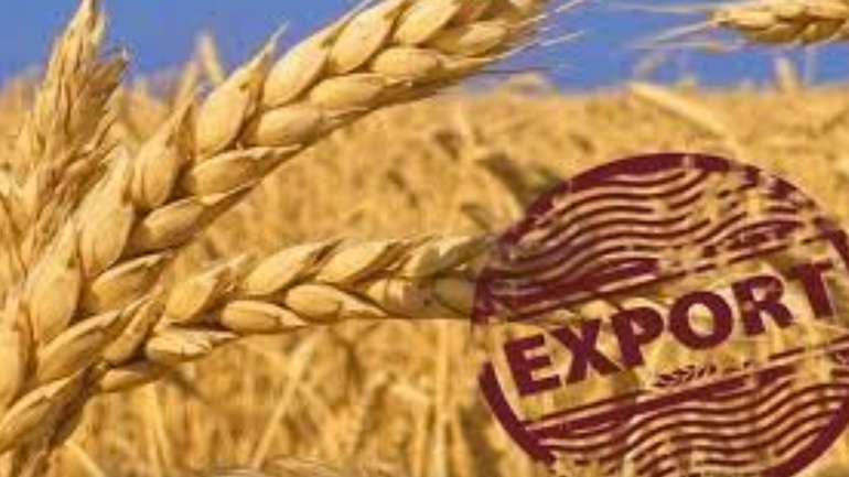Під чиїм прикриттям йде «чорний експорт зерна»?