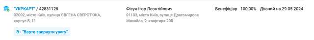 Хто привів в Україну росіян з Pin-UP, та хто є головним партнером Дмитра Пуніна?_13