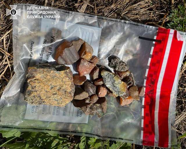 Прикордонники затримали банду копачів бурштину у Поліссі_1
