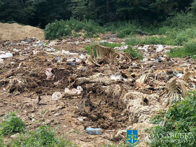Забруднювачів ґрунту у Полтавському районі притягнуть до відповідальності_1