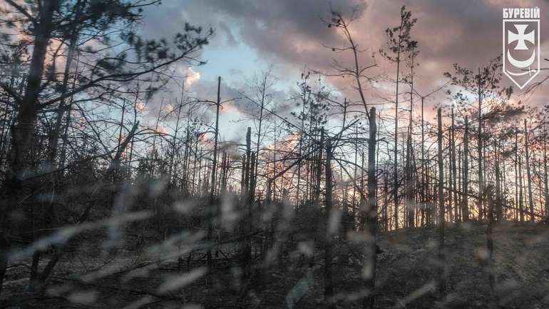 В уряді США піддали сумнівам спроби РФ загарбати весь Донбас