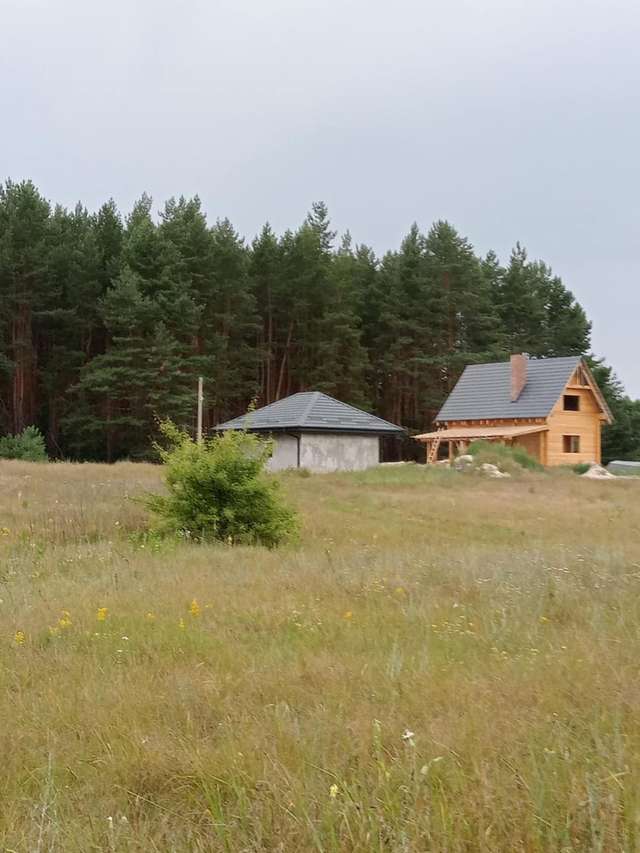 Микола Різник продовжує реалізовувати корупційні схеми в Опішнянській ОТГ_19