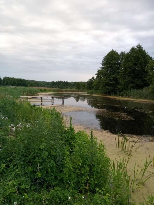 Микола Різник продовжує реалізовувати корупційні схеми в Опішнянській ОТГ_23