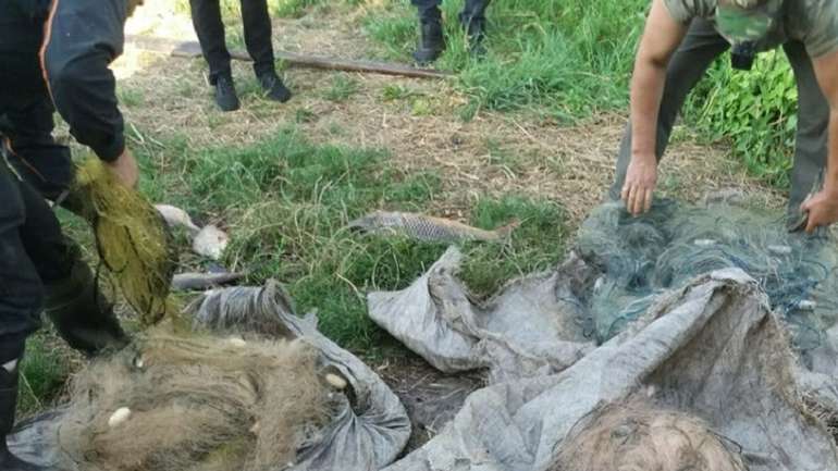 Заповідник «Нижньосульський» став «Клондайком» браконьєрів Полтавщини