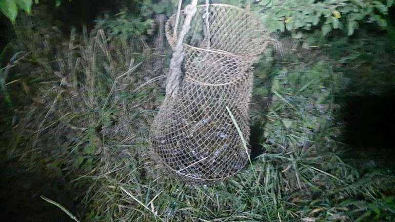 У Котелевській громаді затримали ловця раків