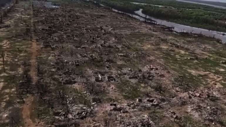 село Кринки (липень 2024 року)