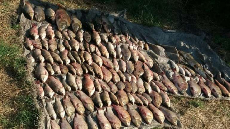 У Сулинській затоці на Полтавщині виявлено браконьєрів