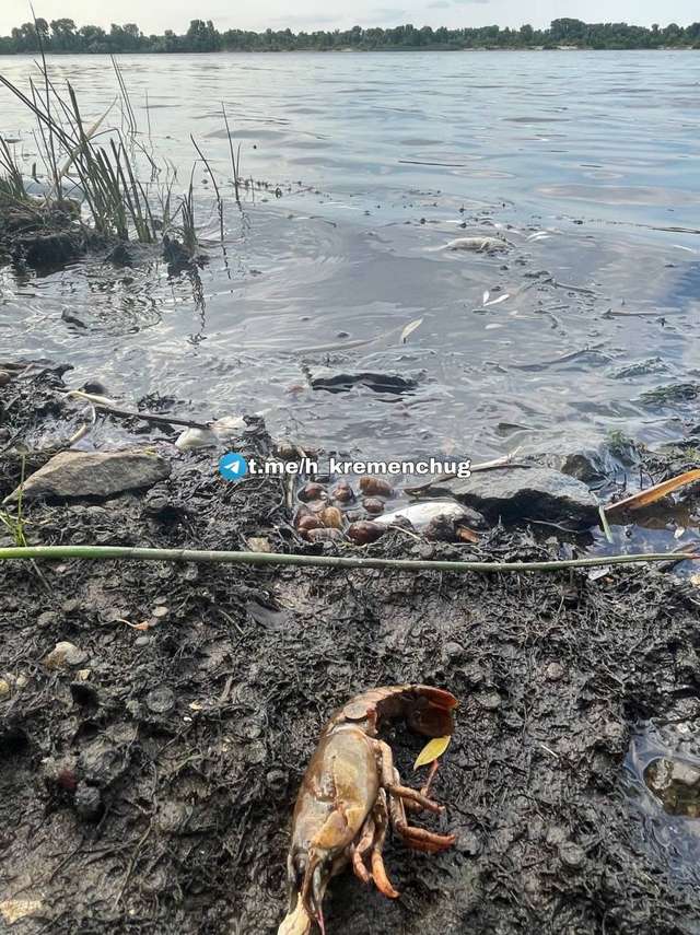 Попри короткочасні дощі річки Полтавщини продовжують міліти_1