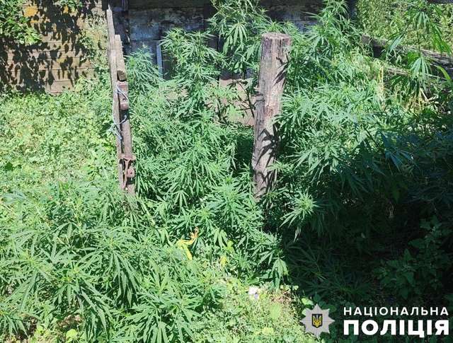 Суд вирішить долю наркобарона із Лубен_1