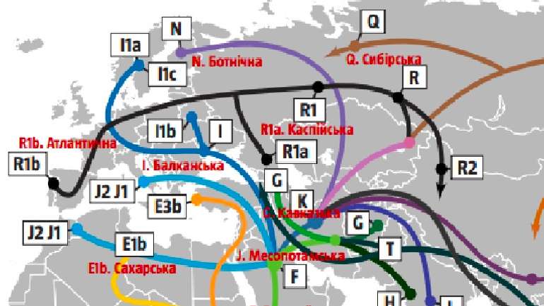 Кожен європеєць має 4-6% генів неандертальця