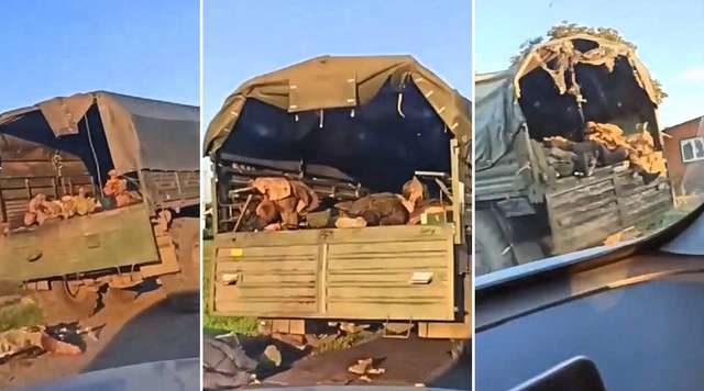 Російський режим приголомшений несподіваною атакою України_1