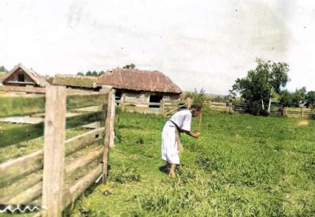 Тигролови з Полтавщини: як українці колонізували Далекий Схід_13