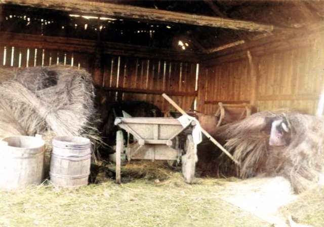 Тигролови з Полтавщини: як українці колонізували Далекий Схід_25