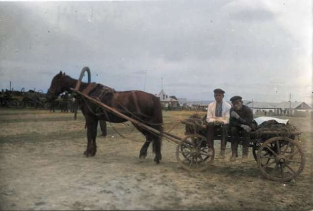 Тигролови з Полтавщини: як українці колонізували Далекий Схід_5