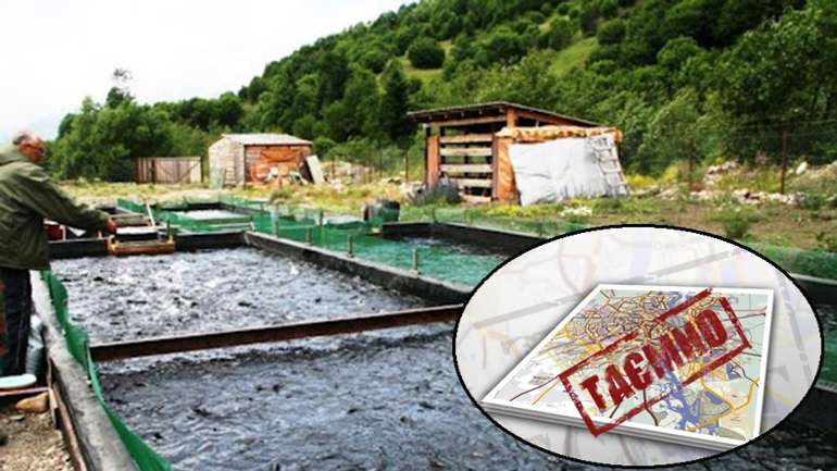 Сіоністи руками слуг олігархів перетворюють Україну на другу Палестину