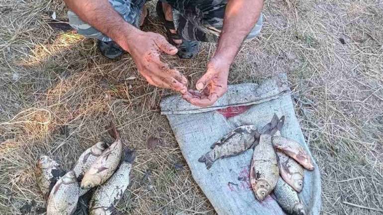 На межі Січеславщини та Полтавщини орудує банда браконьєрів