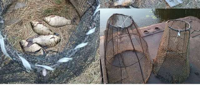 На межі Січеславщини та Полтавщини орудує банда браконьєрів_1