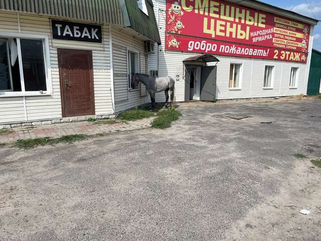 Дерусифікована Суджа не замінить Бахмут і Кадіївку_3