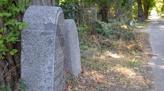 Полтавську молодь змушують прибирати сміття за сіоністами_9