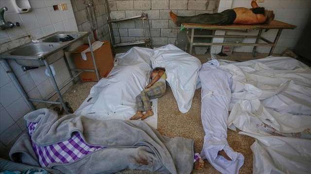 Понад 700 немовлят у Ґазі замордував за рік ізраїльський режим_1