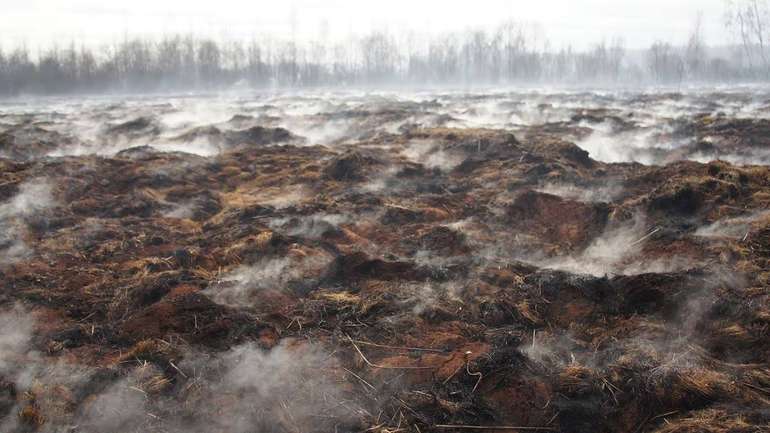 Не лісами єдиними: на Полтавщині палають торфовища