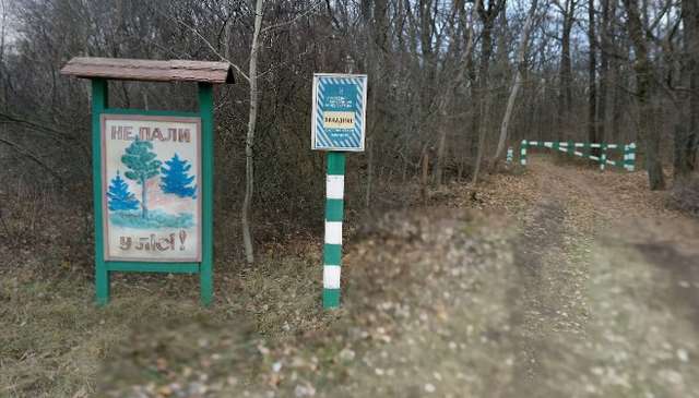 Таємниці чутівського Чорного лісу_1