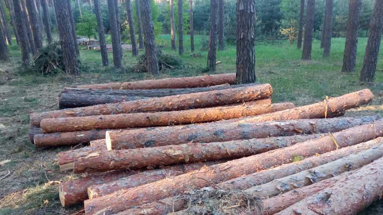 Національні парки України не відповідають міжнародним стандартам