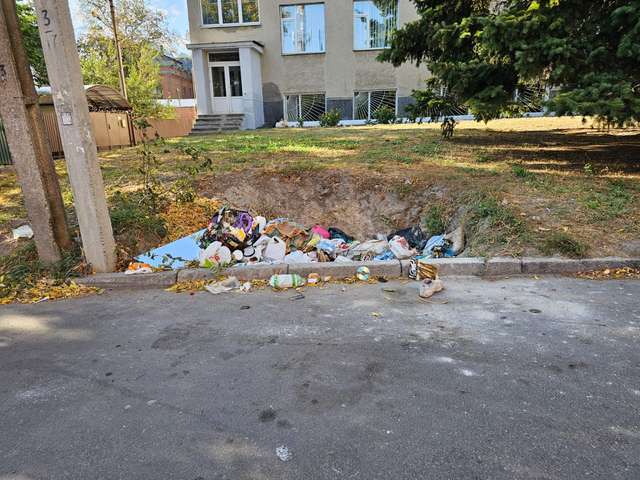 Ямщики влаштували собі чергове сміттєзвалище під стінами музичного училища.