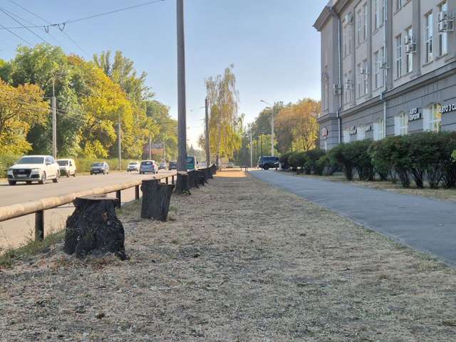Ямщики, бражники, поліщуки, та інші хламідії перетворюють Полтаву на сміттєзвалище_7