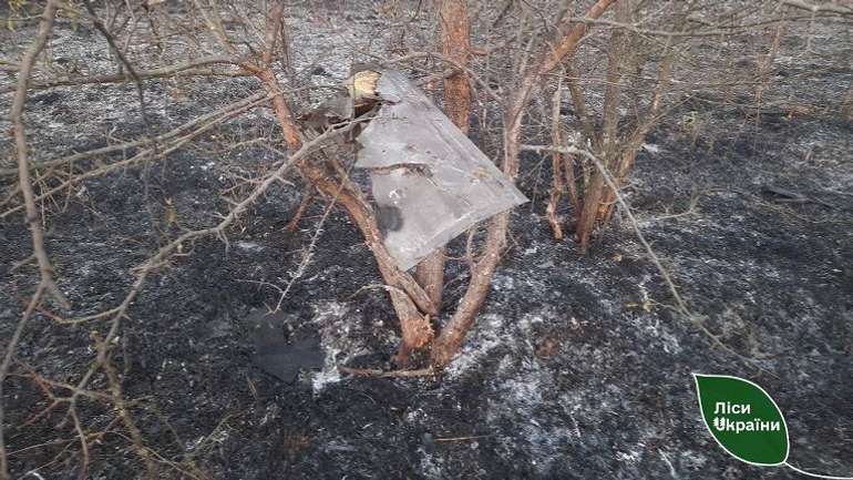 Російські дрони завдають шкоди екосистемам Полтавщини