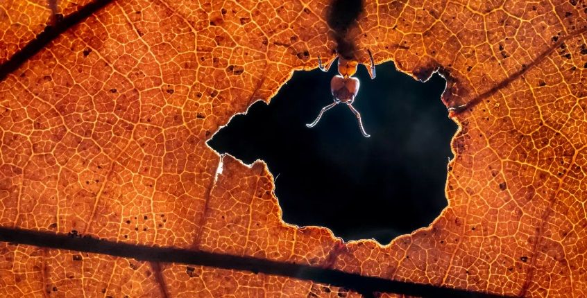 3. Александр Пенсьє «Привіт, світе».