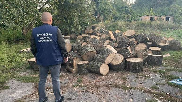 Луніни, Синєгубови та Головки винні у знищенні лісів Полтавщини