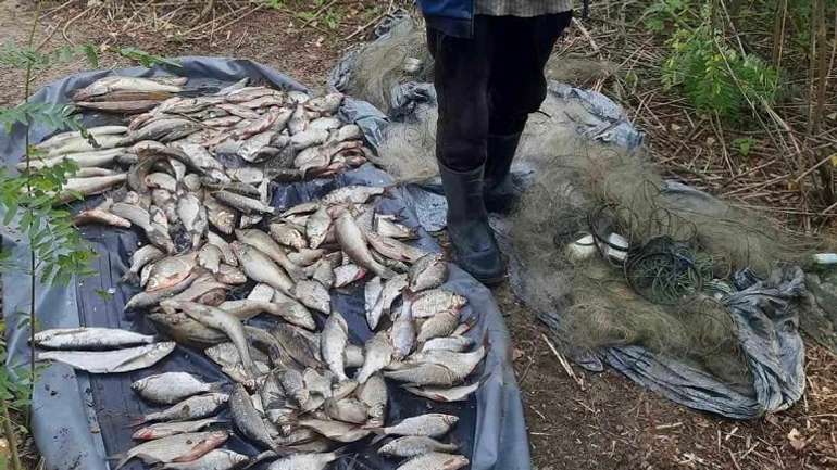 У заповіднику на Полтавщині впіймали неперебірливого браконьєра