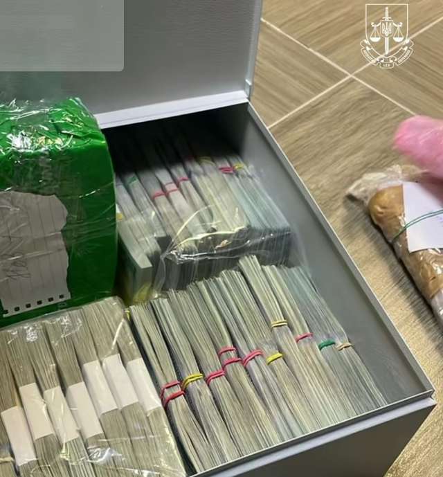 ДБР знайшло у депутатки на Хмельниччині понад 1,5 мільйона незадекларованих доларів_8