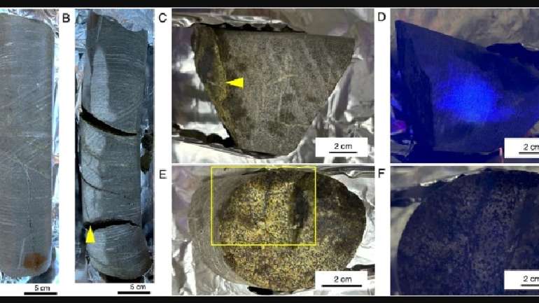 Науковці знайшли живих мікробів віком 2 мільярди років