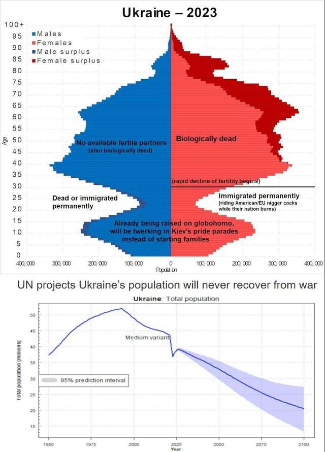 До кінця XXI століття українців в Україні може бути лише 10 мільйонів_3