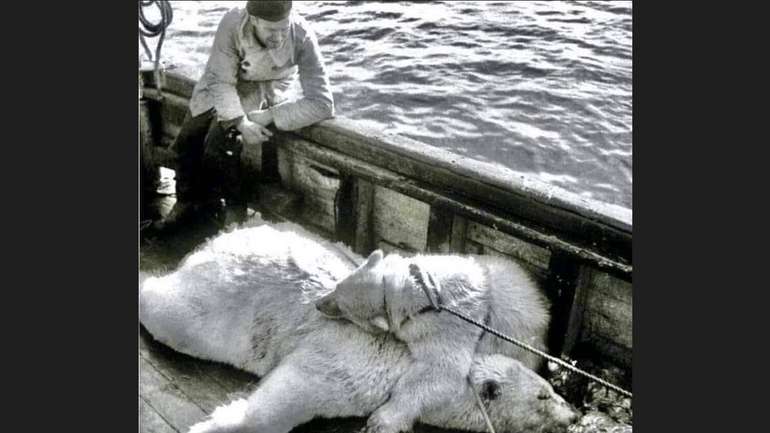 І справді: людина – найжорстокіший хижак на планеті