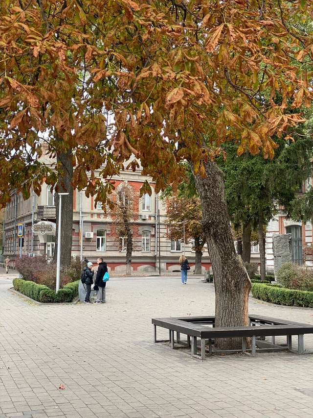 Підприємці самотужки створюють затишний простір у Лубнах_5