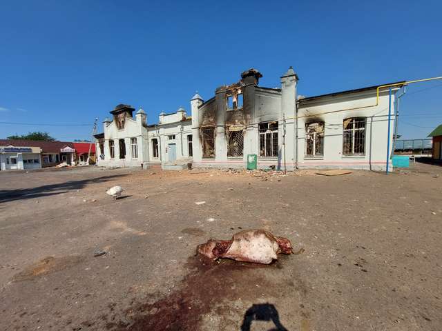 Нащадки воїнів з армії Карла XII воюють у ЗСУ на Курщині_9